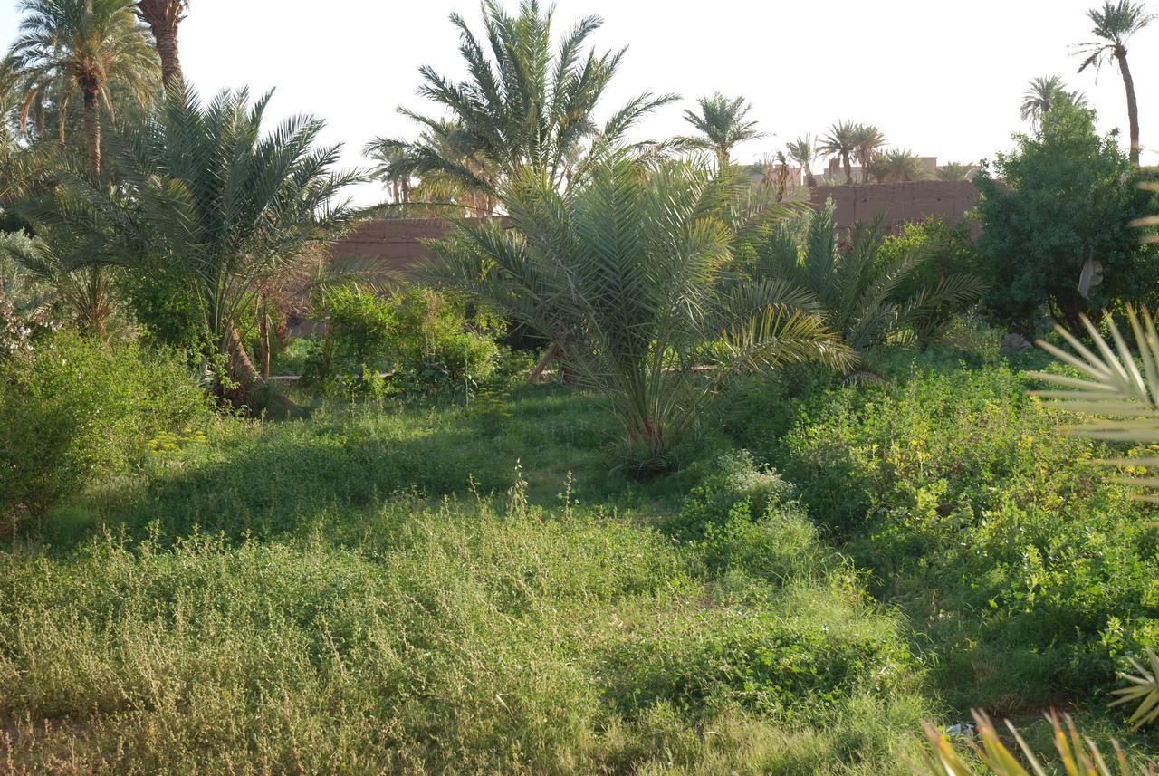 D'Hote Jnane-Dar Diafa Tamgrout المظهر الخارجي الصورة